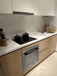 Palisades (D5), Condominium #498748951